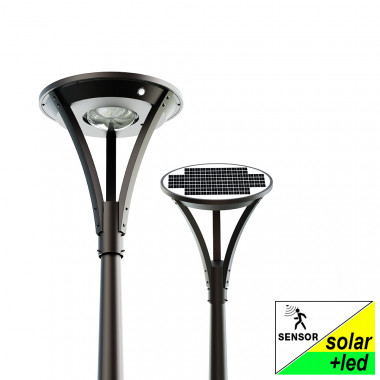 LMS31 Solar Spotlight for...